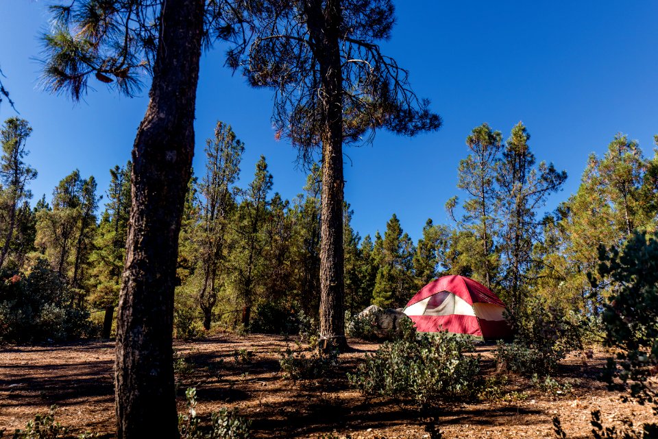 Cow Mountain Recreation Area