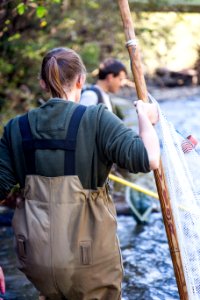 Chesapeake logperch surveying