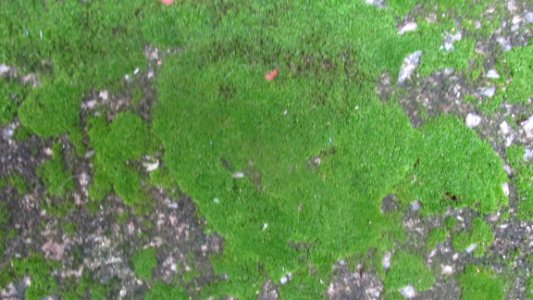 Imagem 022