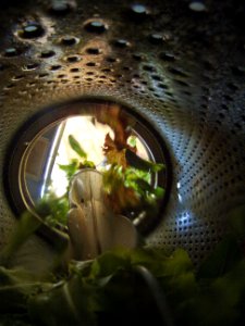 20110506-RD-LSC-0040