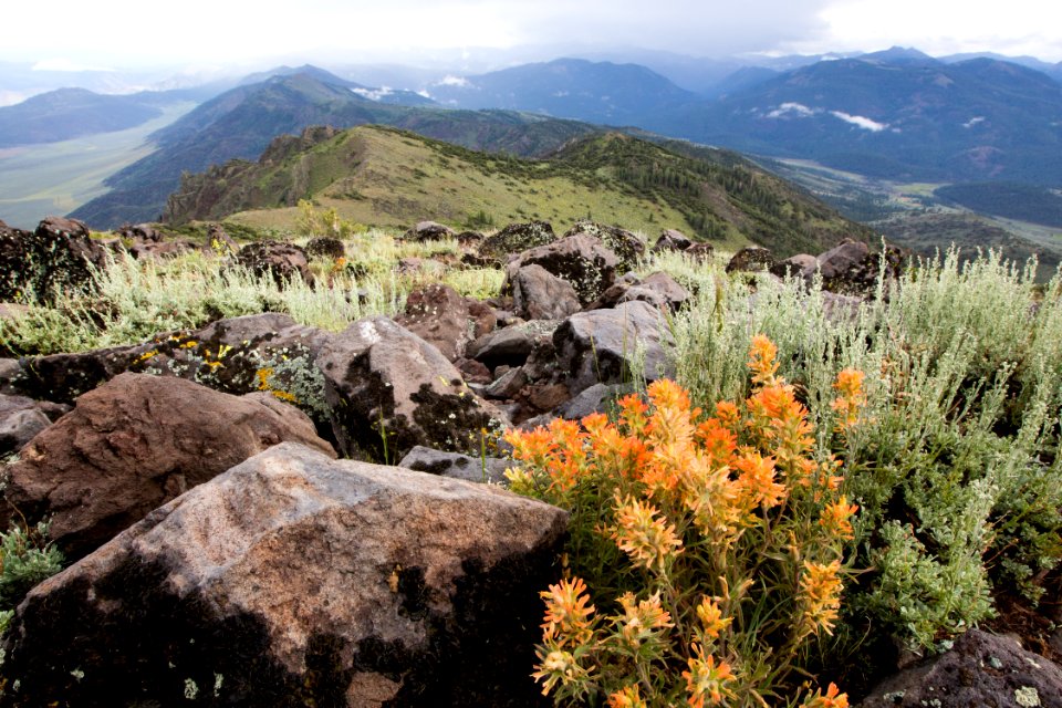 Slinkard Wilderness Study Area