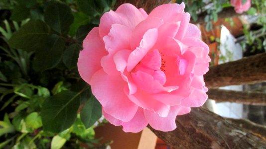 Imagem 075