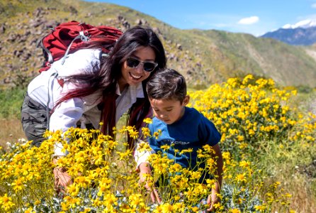 Pacific Crest Trail photo