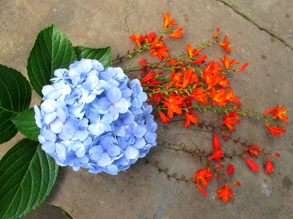 Imagem 028