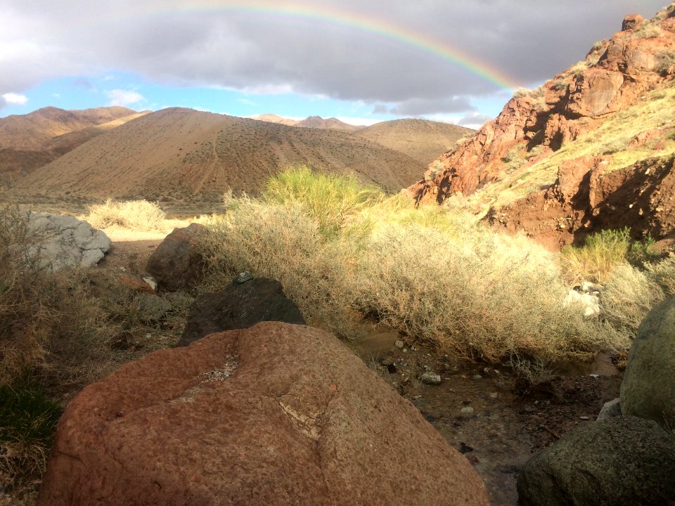 Jawbone Canyon OHV Area in the Ridgecrest Field Office