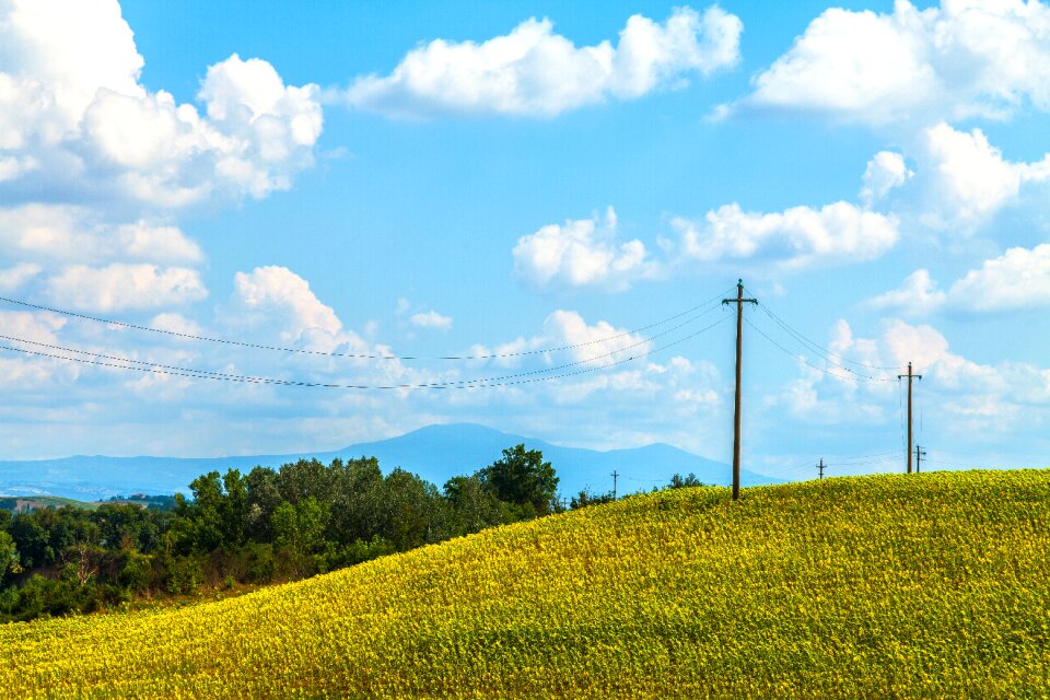 Outdoors sky flowers