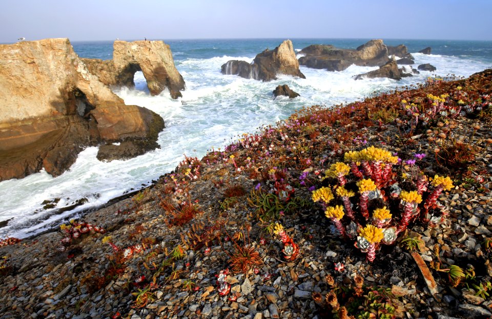 Point Arena-Stornetta unit of the California Coastal National Monument