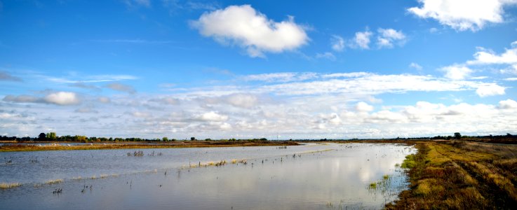 Cosumnes River Preserve photo