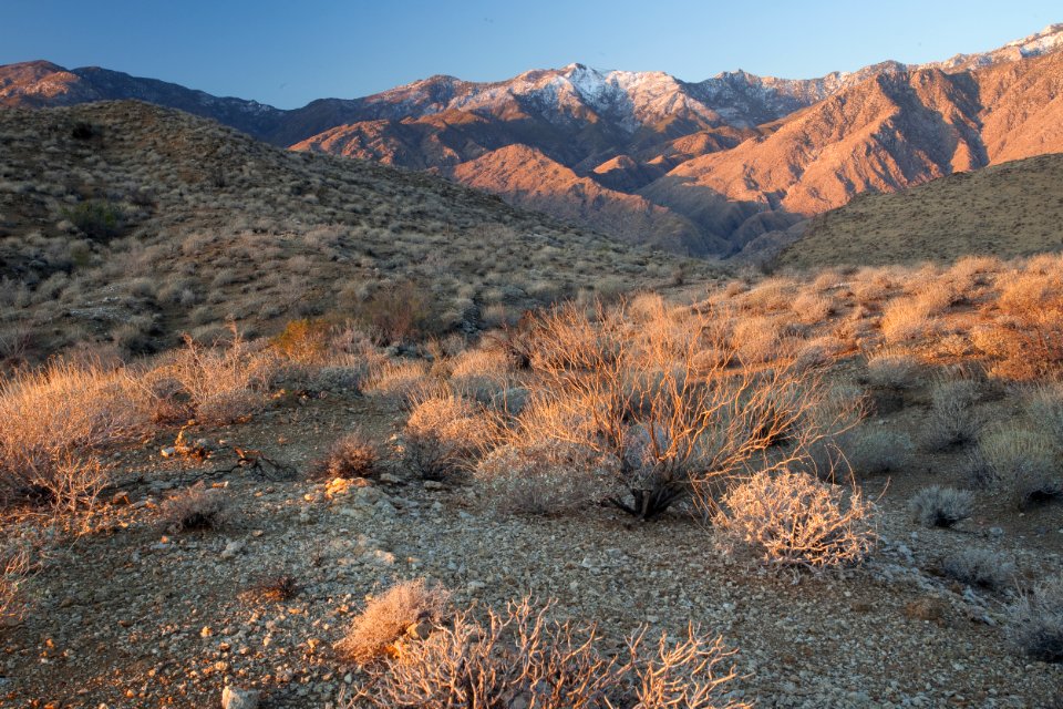 Santa Rosa San Jacinto Mountains National Monument photo