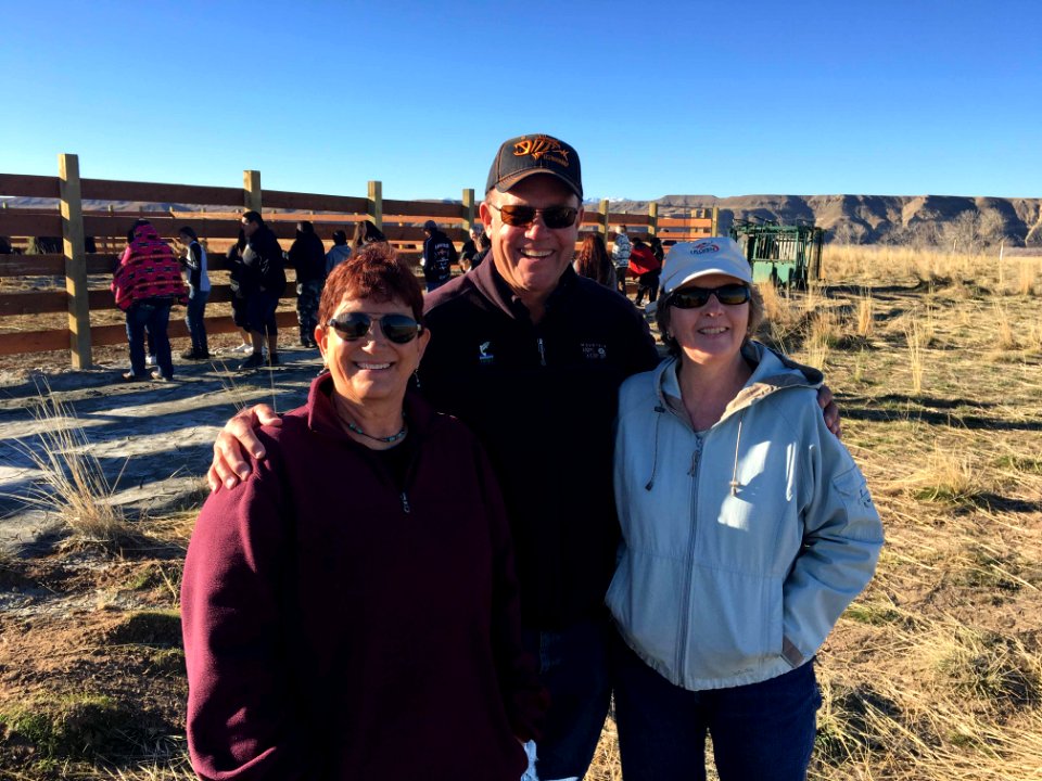 Bison Release 6