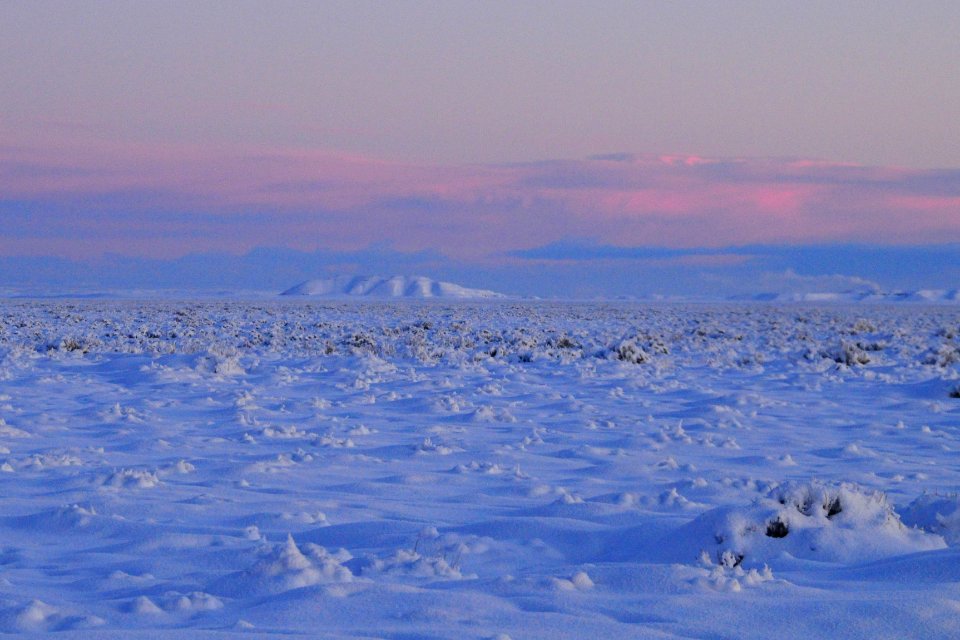 Sage steppe in winter at Seedskadee National Wildlife Refuge