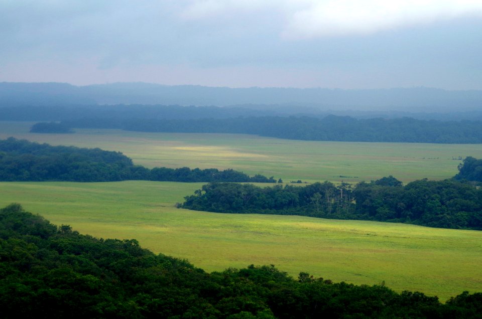 FWS Directer Dan Ashe visits Gabon