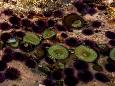King Range National Conservation Area