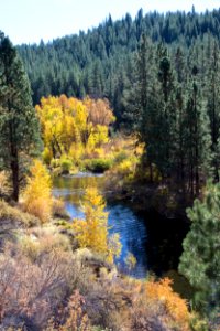 Bizz Johnson Trail