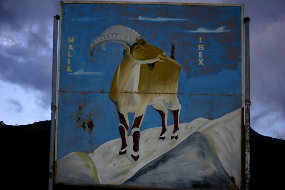 Walia Ibex hand-painted sign