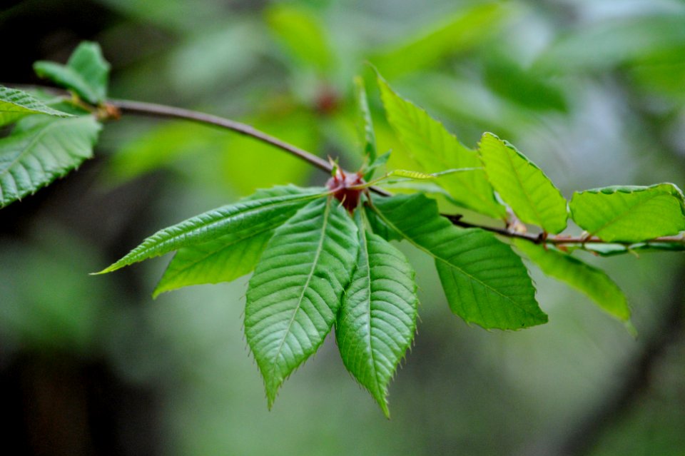 Bukhansan National Park