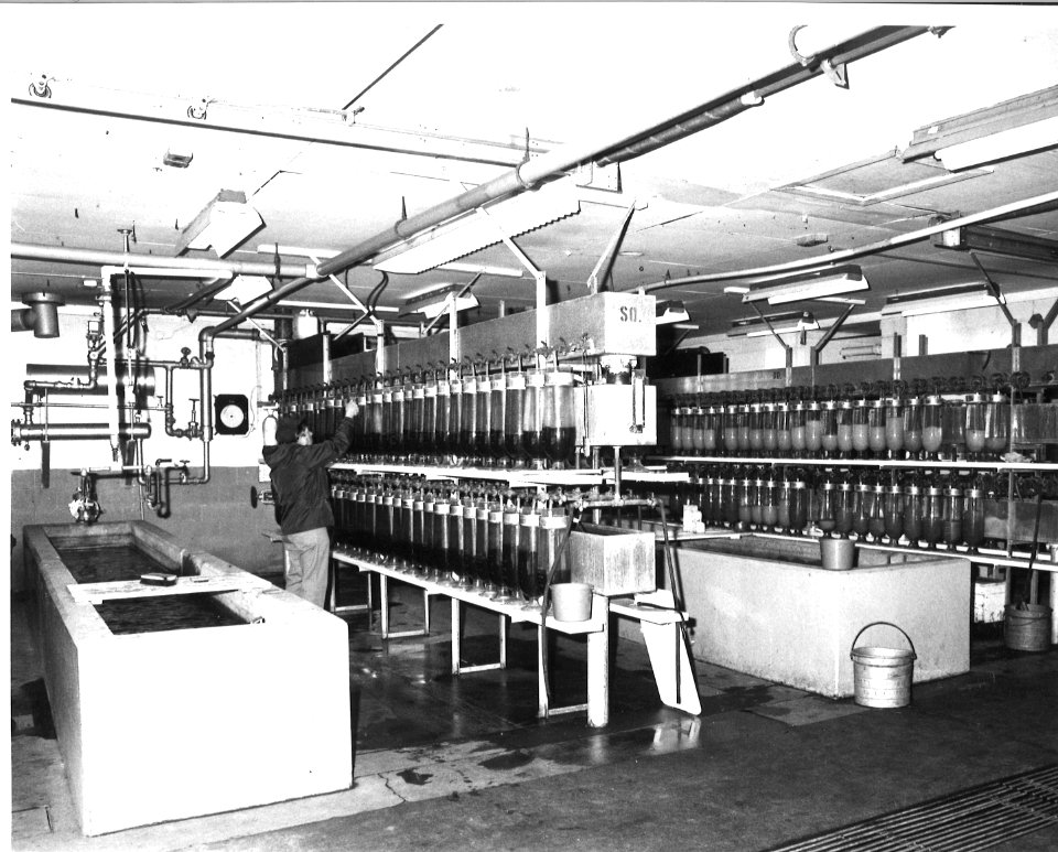 Incubation battery at Valley City with northern pike and walleye eggs