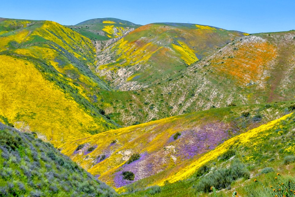 Color Mountain by Kevin Roland