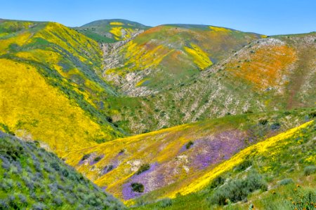 Color Mountain by Kevin Roland