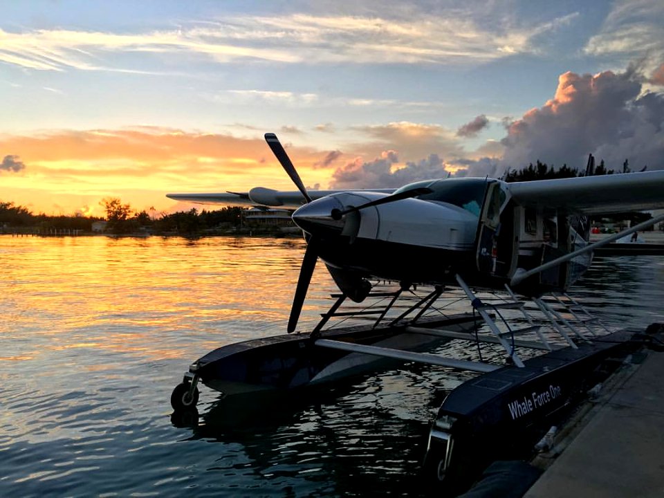 Seaplane Sunset in Bimini #Bahamas #iphone6splus #cessnacaravan #c208 #seaplane #instagramaviation #instaaviation #senditto7 #getoutthere #itsamazingoutthere #itsbetterinthebahamas #itsfiveoclocksomewhere