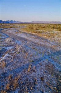 Carson Slough photo