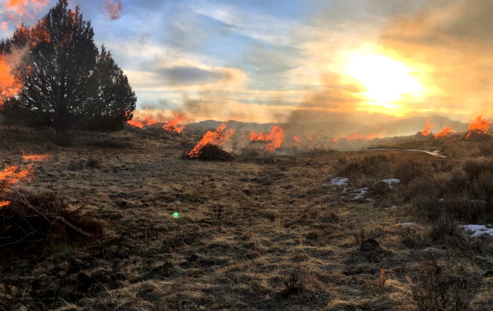 Pile burns near Thomas Creek