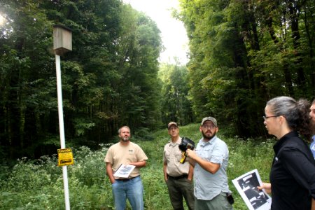 Bat box used by IBats in IN #2