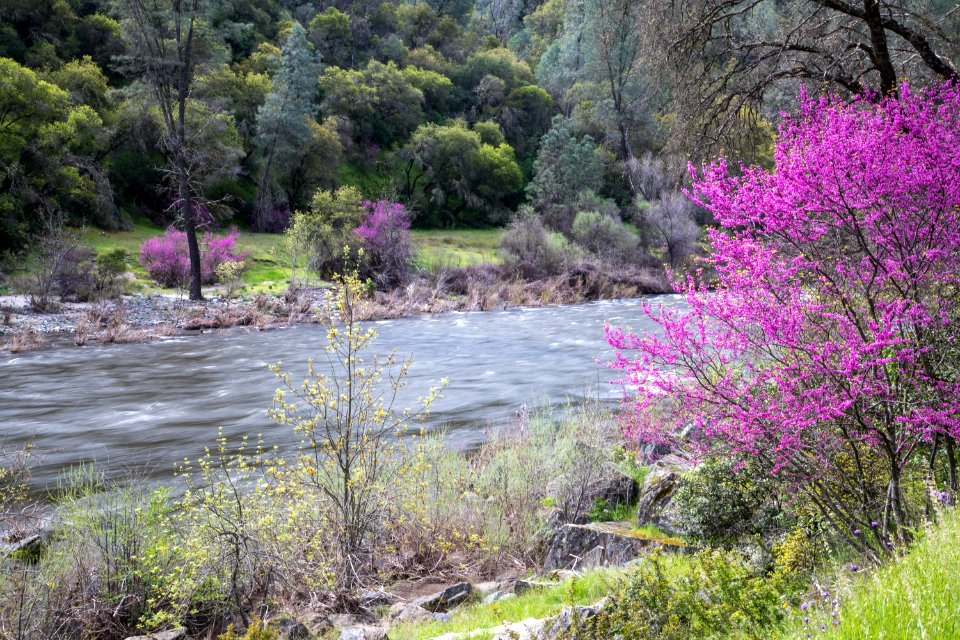 Merced Wild and Scenic River