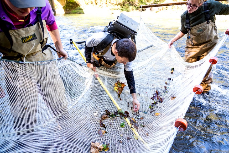 Chesapeake logperch surveying