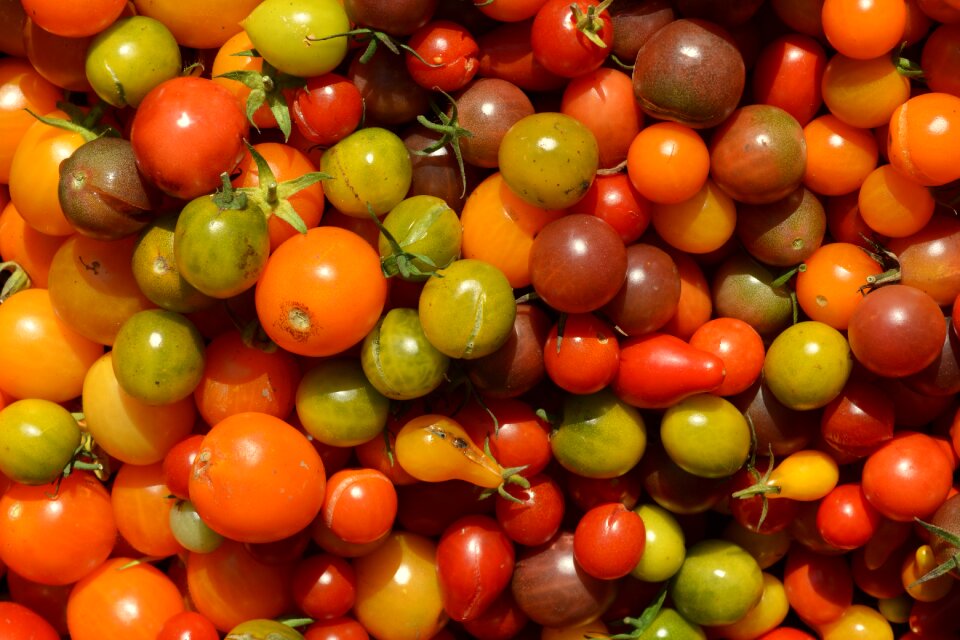 Vegetables cherry tomatoes food