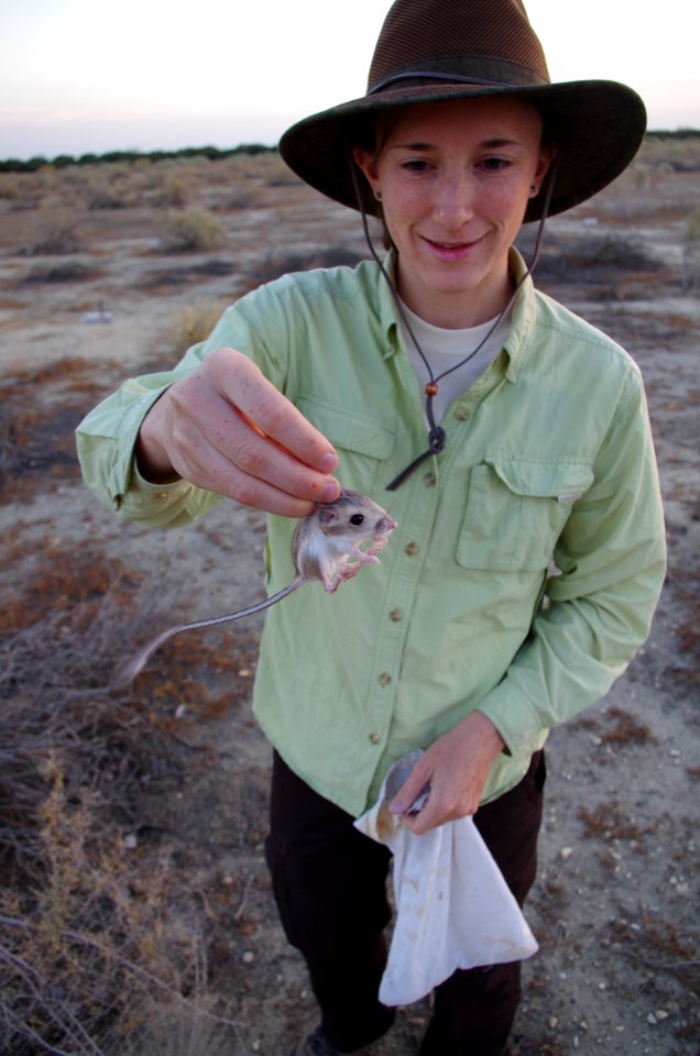 Holding Tipton Kangaroo Rat in Lokern Parcel