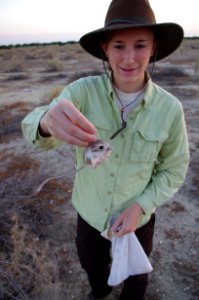 Holding Tipton Kangaroo Rat in Lokern Parcel photo
