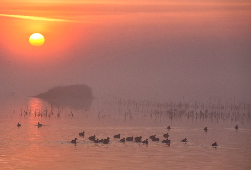 Cosumnes River Preserve photo