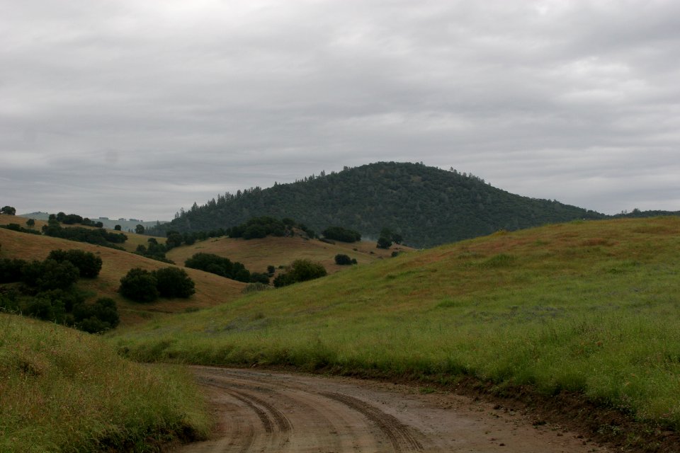 Cronan Ranch