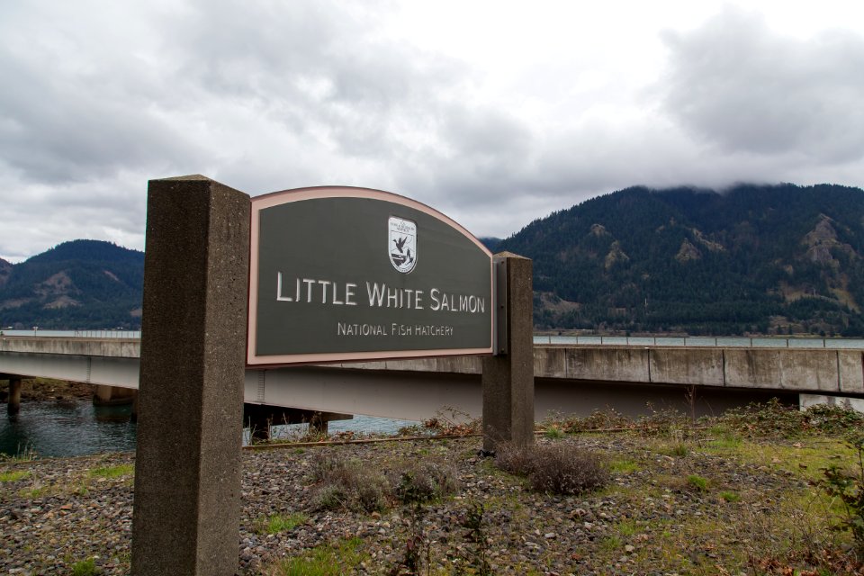 Little White Salmon Fish Hatchery