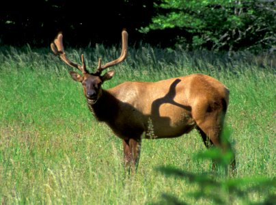 King Range National Conservation Area