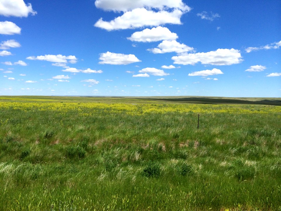 Blaine Co. MT, Scott Somershoe 3