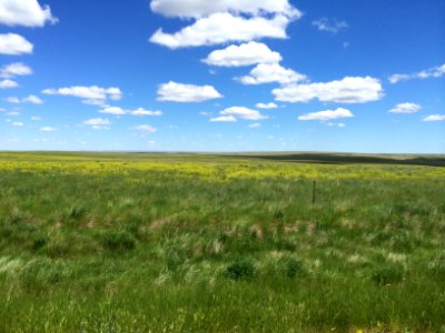 Blaine Co. MT, Scott Somershoe 3