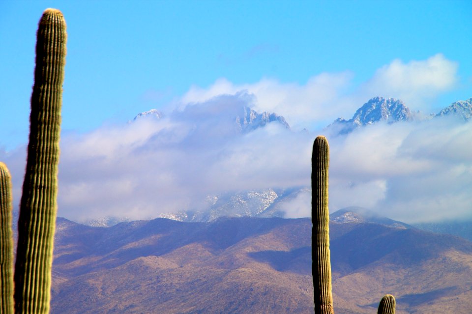 Pointy Things in Foreground