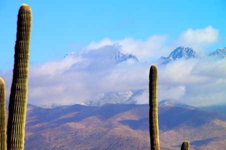 Pointy Things in Foreground