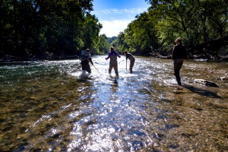 Chesapeake logperch surveying