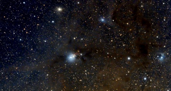 NGC1333 / L1450 (DSLR Image) photo