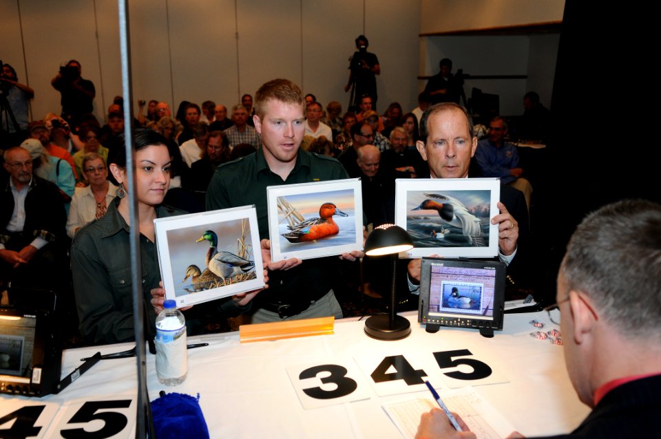2017 Federal Duck Stamp Art Contest Media Kit