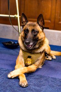 2017 Refuge Expo on Capitol Hill