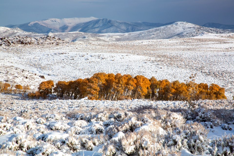 Bodie Hills