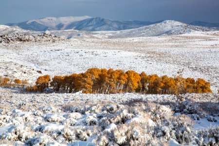 Bodie Hills