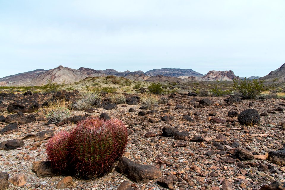 Clipper Mountain Wilderness photo