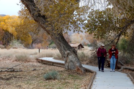 Sand to Snow National Monument