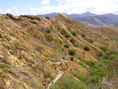 The Climb
