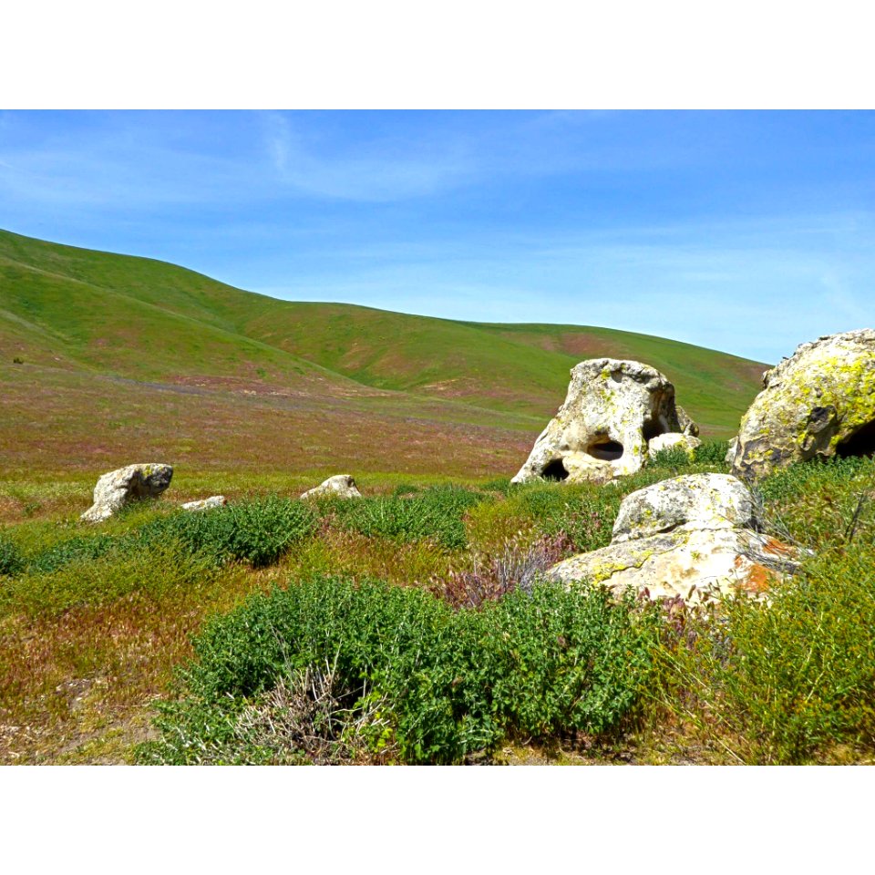Rocks by M. Watton